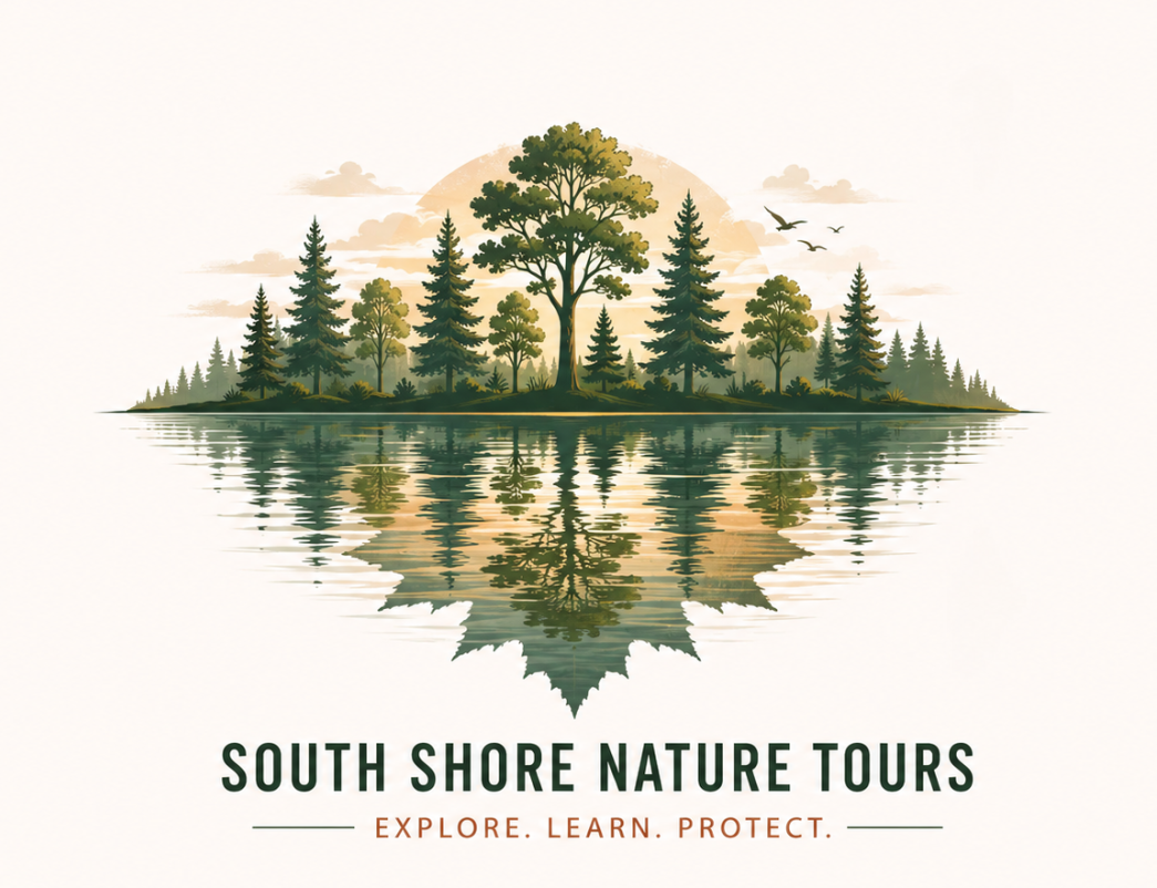 South Shore Nature Tours Logo